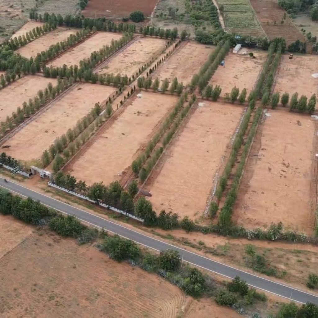 WhatsApp Image 2025-12-03 at 16.25.17_fdab4b30