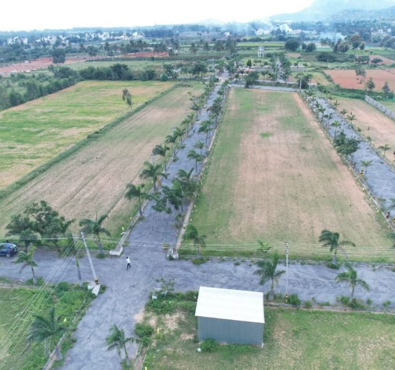 WhatsApp Image 2025-12-03 at 16.25.24_04bf22a5