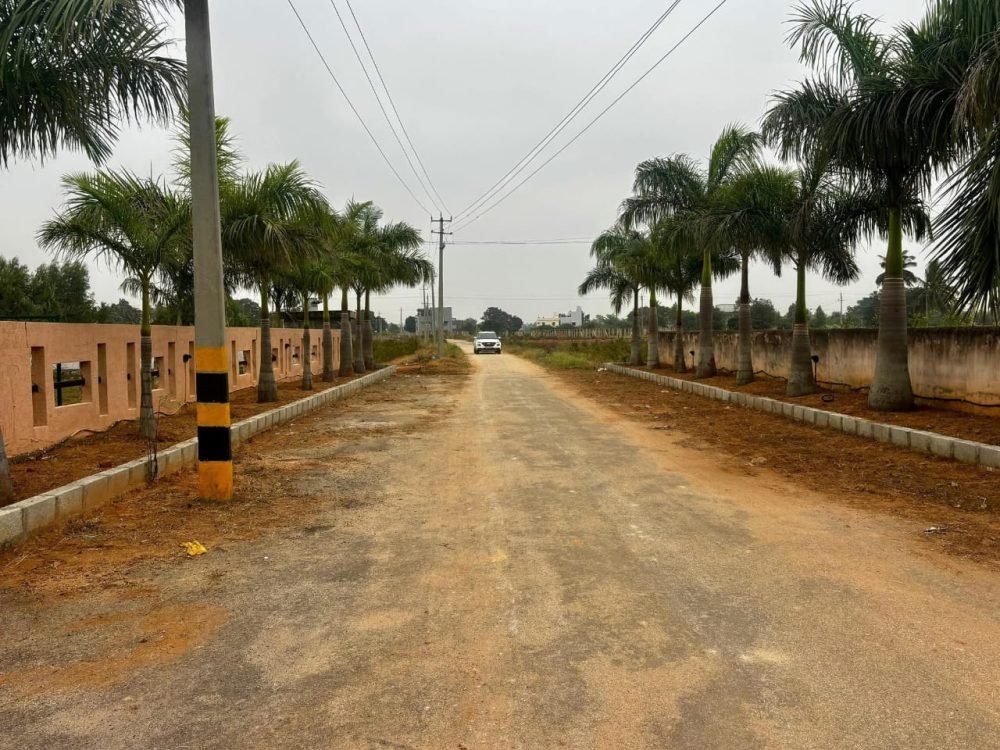 WhatsApp Image 2025-12-03 at 16.25.24_f80f54a2