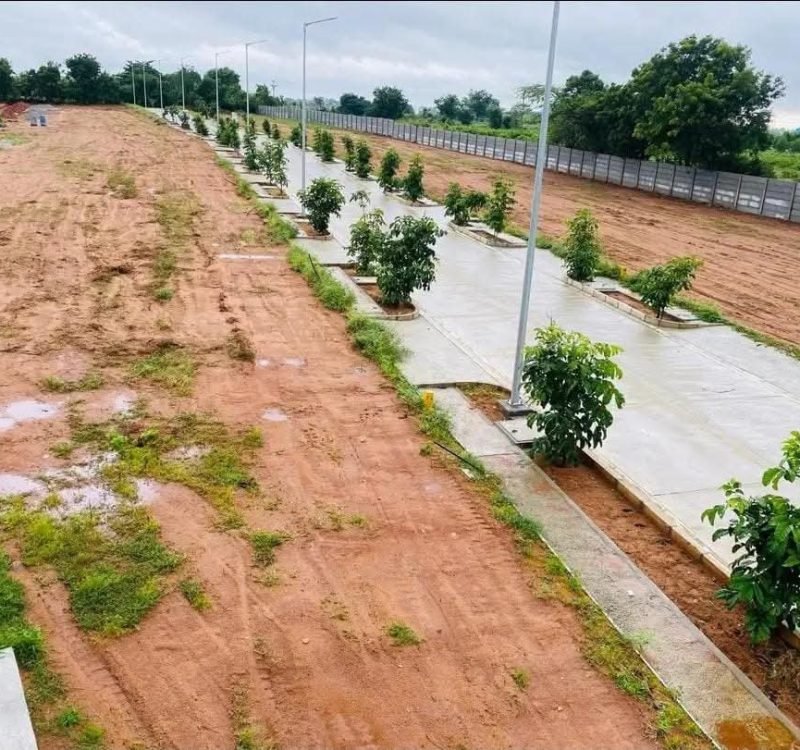 WhatsApp Image 2025-12-03 at 17.32.21_4acaf6a8