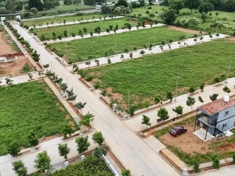 WhatsApp Image 2025-12-03 at 17.32.23_4f1930f1